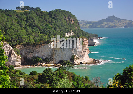 Küsten-Ansicht, Te Whanganui-A-Hei Marine Reserve, Coromandel Peninsula, Region Waikato, Nordinsel, Neuseeland Stockfoto