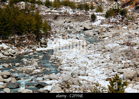 Wald-Fluss in Manali, Himachal Pradesh, Indien Stockfoto