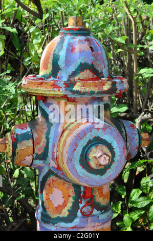 Key West bunte Hydranten - gegenüber Bahama Village Stockfoto