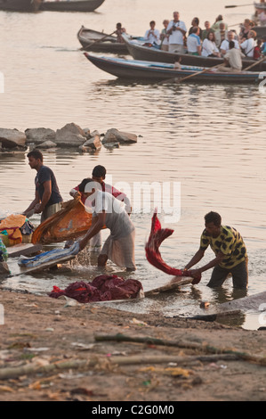 Dhobi waschen in den heiligen Fluss Ganges Stockfoto