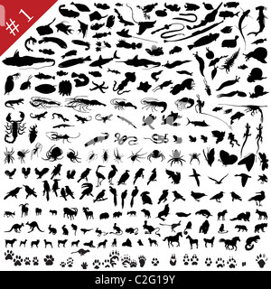 # 1 Satz verschiedene Tiere, Vögel, Insekten und Fische Vector Silhouetten Stockfoto