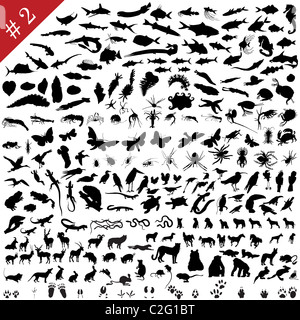 # 2 Satz von verschiedenen Tieren, Vögel, Insekten und Fische Vector Silhouetten Stockfoto