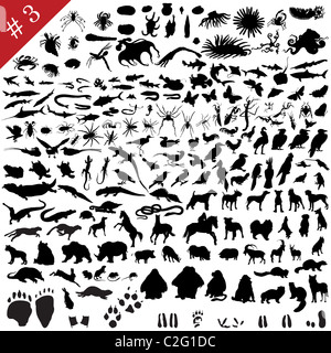 # 3 Satz von verschiedenen Tieren, Vögel, Insekten und Fische Vector Silhouetten Stockfoto