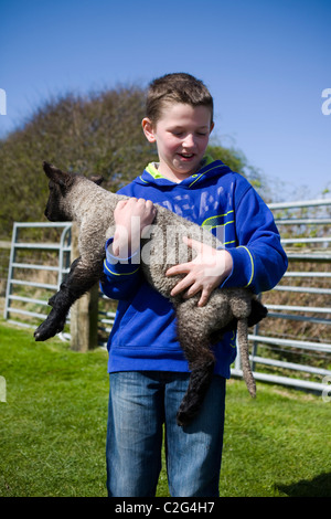 Porträt eines Jungen (MR) auf der Farm Farmer Parrs Animal Petting Farm mit großem Frühlingslamm, Blackpool, Lancashire, Großbritannien. Stockfoto