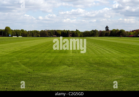 Neue gemähten Rasen Smiths Rasen Guards Polo Club Windsor Great Park. Stockfoto