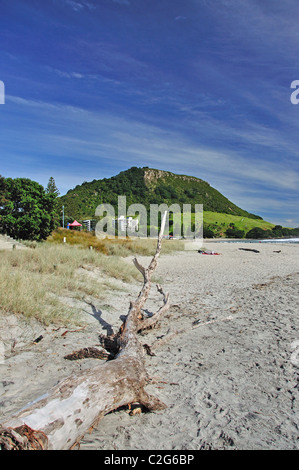 Blick auf den Strand, Mount Maunganui Mount Maunganui, Tauranga, Bay of Plenty, North Island, Neuseeland Stockfoto