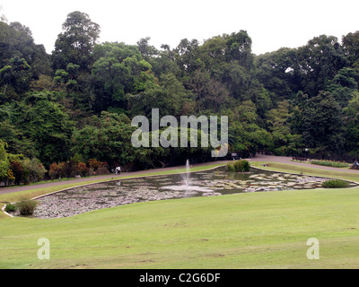 Bogor botanische Gärten, Indonesien, März 2011 Stockfoto