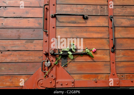 Rosen als Symbol der Hoffnung und des Friedens in Erinnerung an ermordet von den deutschen Nazis - eine Eisenbahn-Wagen-Tür. Stockfoto