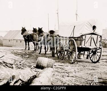 City Point, Virginia (Umgebung). Vier-Mule Militärmannschaft und Wagen Stockfoto