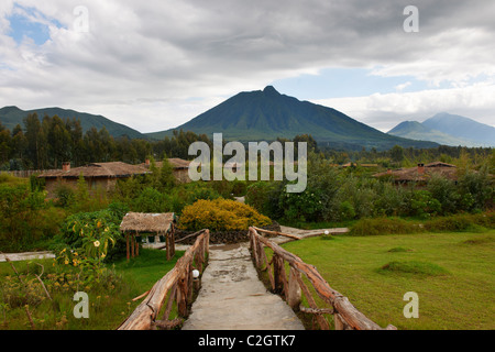 Gorilla Mountain View Lodge und Mount Sabyinyo, Parc National des Vulkane, Virunga Berge, Ruanda, Afrika Stockfoto