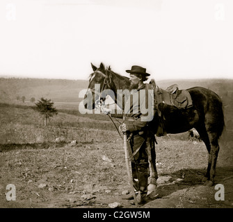 Antietam, MD. Eine Kavallerie-geordnete Stockfoto