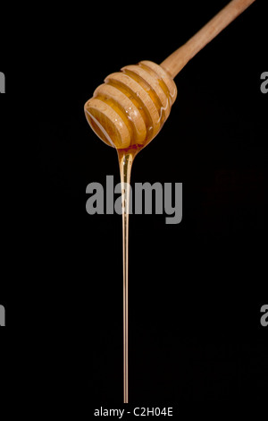 Honig-Stick auf dem schwarzen Hintergrund Stockfoto