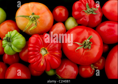 eine Mischung aus frischen Hause Bio rote Tomaten angebaut Stockfoto