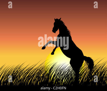 Pferd-Silhouette auf Sonnenuntergang Hintergrund. Vektor-Illustration. Stockfoto