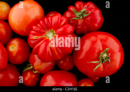 eine Mischung aus frischen Hause Bio rote Tomaten angebaut Stockfoto