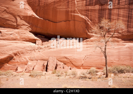 White House Ruinen, Canyon de Chelly National Monument. Chinle, Arizona, Vereinigte Staaten von Amerika. Stockfoto