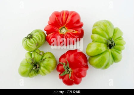 Frische zuhause gewachsen Bio rote und grüne Tomaten vor einem weißen Hintergrund Stockfoto