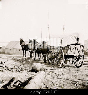 City Point, Virginia (Umgebung). Vier-Mule Militärmannschaft und Wagen Stockfoto