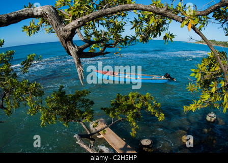 Angelboot/Fischerboot verankert in Frenchman es Bay in Treasure Beach, mit behelfsmäßigen Dock und Baum im Vordergrund, St. Elizabeth, Jamaika Stockfoto