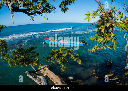 Angelboot/Fischerboot verankert in Frenchman es Bay in Treasure Beach, mit behelfsmäßigen Dock und Baum im Vordergrund, St. Elizabeth, Jamaika Stockfoto