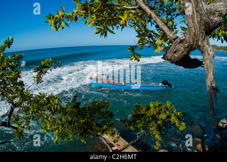 Angelboot/Fischerboot verankert in Frenchman es Bay in Treasure Beach, mit behelfsmäßigen Dock und Baum im Vordergrund, St. Elizabeth, Jamaika Stockfoto