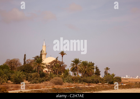 Hala Sultan Tekke Moschee, Larnaca, Zypern. Stockfoto