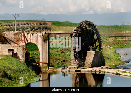 Hama Wassermühle Noria 20 Meter hohen Syrien Orontes River zu bauen, in Zeiten der osmanischen Mamluk Griechen Römer erfanden das Wasserrad Stockfoto