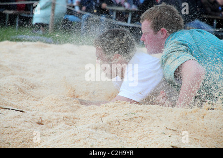 Schwingfest Athleten kämpfen um den Sieg durch das Werfen des Gegners auf dem Rücken April, Bonstetten, Schweiz Stockfoto