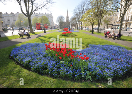 Palmeria Square in Brighton und Hove im Frühling mit roten Tulpen und kleine blaue Blumen Vergissmeinnicht, East Sussex, England Stockfoto