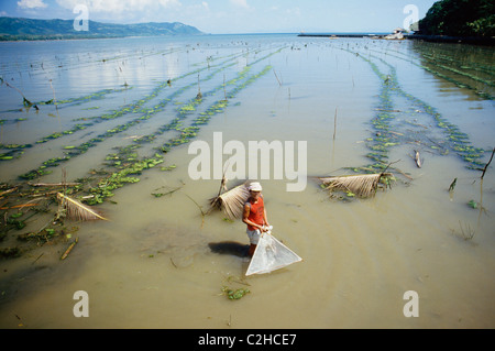 Punta Buluarte Süd-Luzon Philippinen Stockfoto