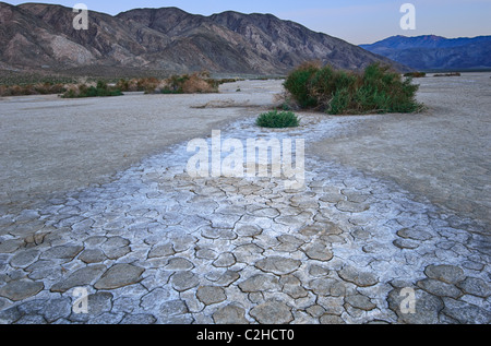 Clark Dry Lake befindet sich im Anza Borrego Desert State Park in Kalifornien. Stockfoto