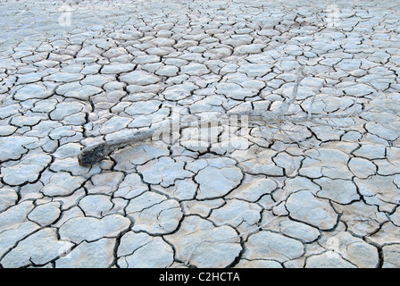 Clark Dry Lake befindet sich im Anza Borrego Desert State Park in Kalifornien. Stockfoto