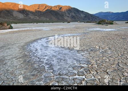 Clark Dry Lake befindet sich im Anza Borrego Desert State Park in Kalifornien. Stockfoto