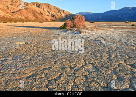 Clark Dry Lake befindet sich im Anza Borrego Desert State Park in Kalifornien. Stockfoto