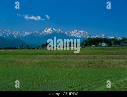 Reisfeld und Hida Mountains, Omachi, Nagano, Japan Stockfoto