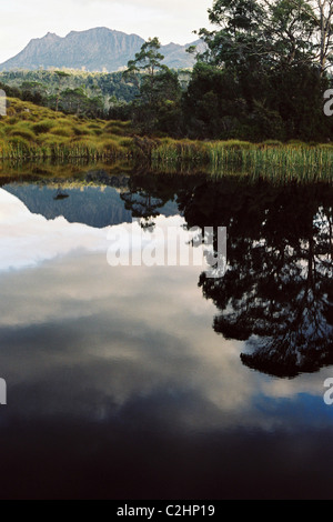 Eukalypten und Berge spiegeln sich in einem Spiegel-Still See entlang Tasmaniens Overland Track. Stockfoto