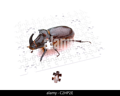 Fehler-Puzzle-Stück. 3D Stockfoto