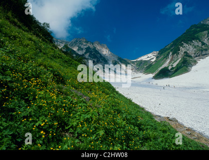 Hakuba Grand verschneiten Schlucht, Hakuba, Kitaazumi, Nagano, Japan Stockfoto