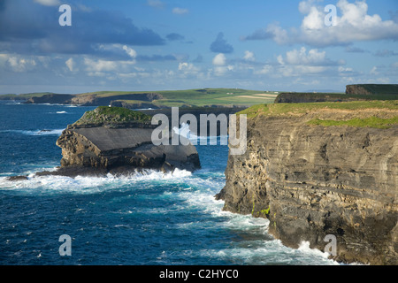 Atlantic Klippen und die Küste in der Nähe von Loop Head, County Clare, Irland. Stockfoto