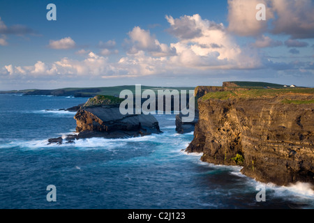 Abendlicht auf der atlantischen Küste in der Nähe von Loop Head, County Clare, Irland. Stockfoto