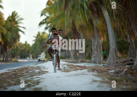 Drei Heimatinsel jungen auf einem Fahrrad unten Insel Coral, Palme gesäumten Straße. Stockfoto