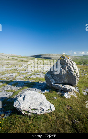 Kalkstein Bürgersteig und eiszeitliche Findlinge im Burren, County Clare, Irland. Stockfoto