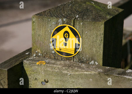 Ein Footpathsign auf einem hölzernen Pfosten als Wegweiser durch einen Pfeil für die Gritstone Weg, Cheshire, England, UK Stockfoto