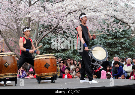 Leistung der Tamagawa University Taiko Drumming und Dance Troupe, Sakura Sonntag Frühlingsfest, Philadelphia, USA Stockfoto