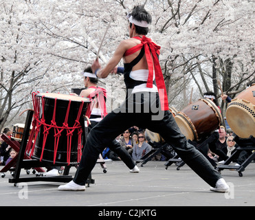 Leistung der Tamagawa University Taiko Drumming und Dance Troupe, Sakura Sonntag Frühlingsfest, Philadelphia, USA Stockfoto