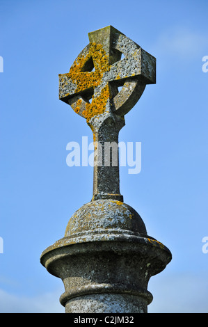 Detail der Grabstein mit Keltenkreuz Kreuzblume. Kirche des Heiligen Cuthbert, Kirklinton, Cumbria, England, Vereinigtes Königreich, Europa. Stockfoto
