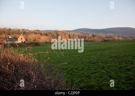 Sonnenuntergang über die Felder vor Bridgetown Abtei in Castletownroche Irland Stockfoto