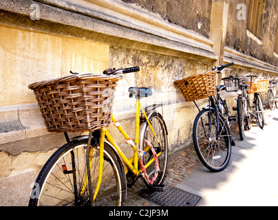 Oxford-Fahrräder an der Wand der Bodleian; Fahrräder eine der Zauberstab Stockfoto