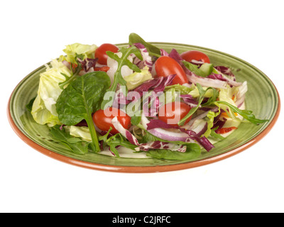 Frisch zubereitete Teller mit gesunden Sommer gemischt Garten vegetarischen Salat gegen einen weißen Hintergrund mit Freistellungspfaden und keine Leute Stockfoto