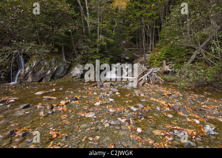 Kleiner Wasserfall, Point Wolfe, Fundy National Park, New Brunswick, Kanada Stockfoto